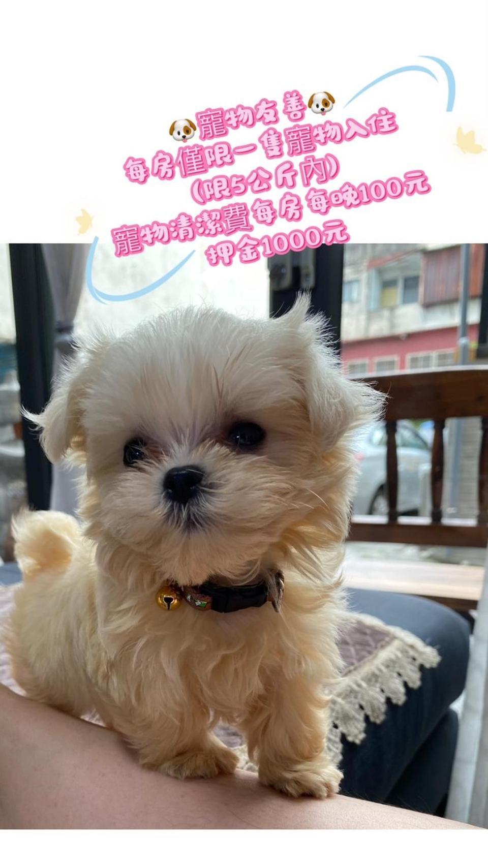 ジングァン B&B 花蓮市 エクステリア 写真